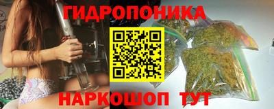 PSILOCYBIN Северобайкальск