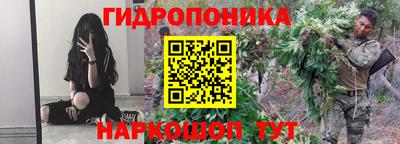 PSILOCYBIN Северобайкальск