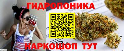 jwh Севастополь