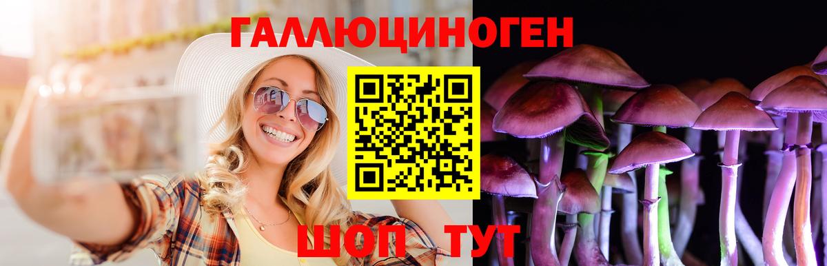сколько стоит  Псилоцибиновые грибы Magic Shrooms  Петропавловск-Камчатский  Вход с VPN  Псилоцибиновые грибы Psilocybe 