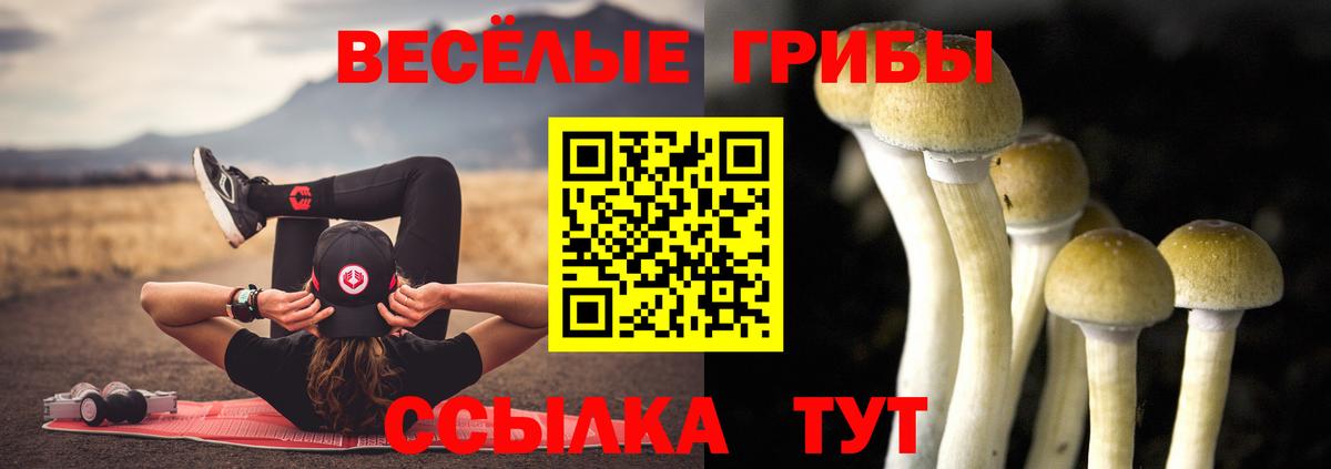 Галлюциногенные грибы Cubensis Петропавловск-Камчатский